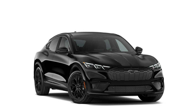 Mustang Mach-E® vehicle